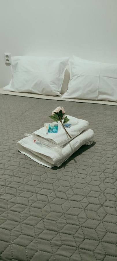 Vila Santa Cruz Guest House Μπράγκα Εξωτερικό φωτογραφία